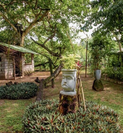 Номер Deluxe, Talalla Fire Fly