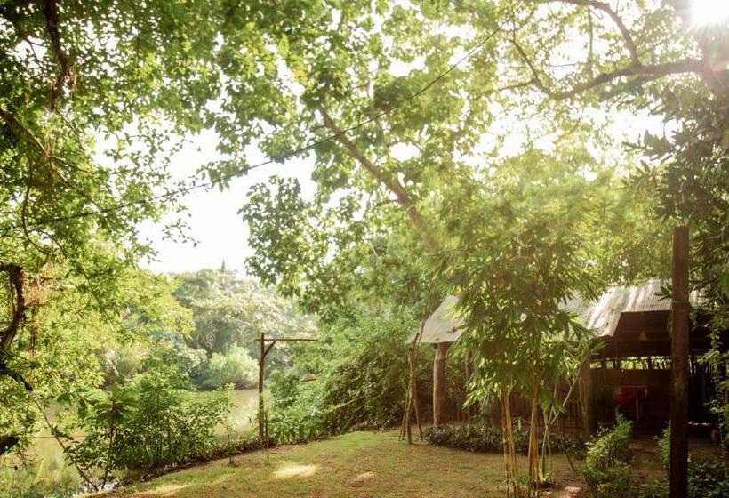 Номер Economy, Talalla Fire Fly