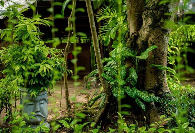 Номер Economy, Talalla Fire Fly