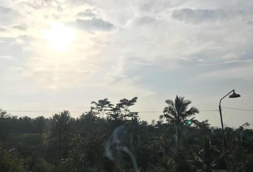 Номер Стандарт, Agung Putra