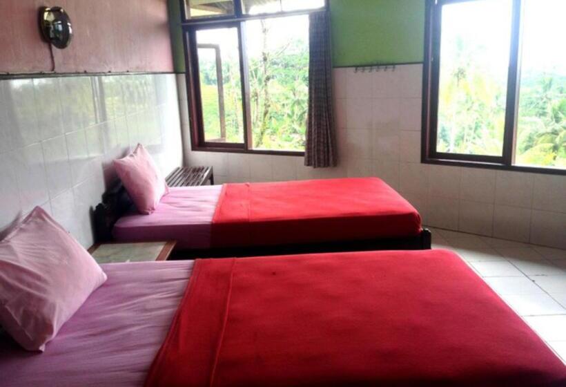 Номер Стандарт, Agung Putra