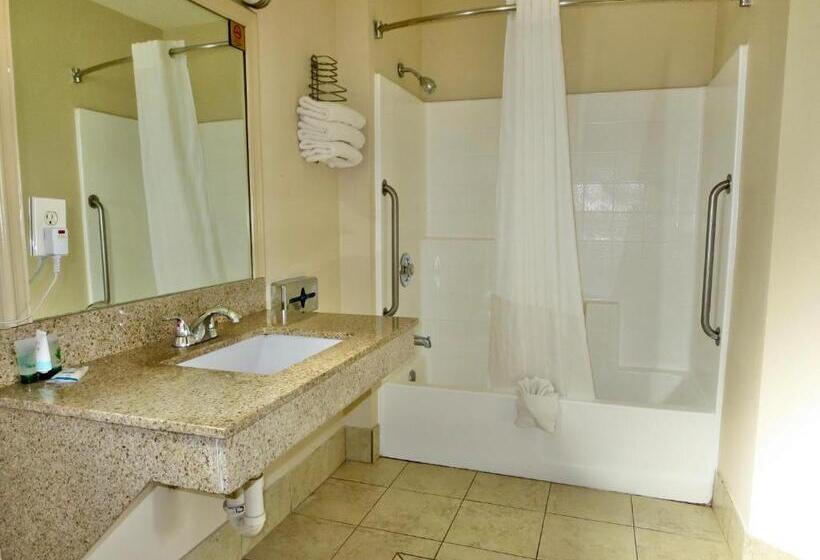 إستوديو قياسى سرير كينج, G T Hotels Inn & Suites Extended Stay