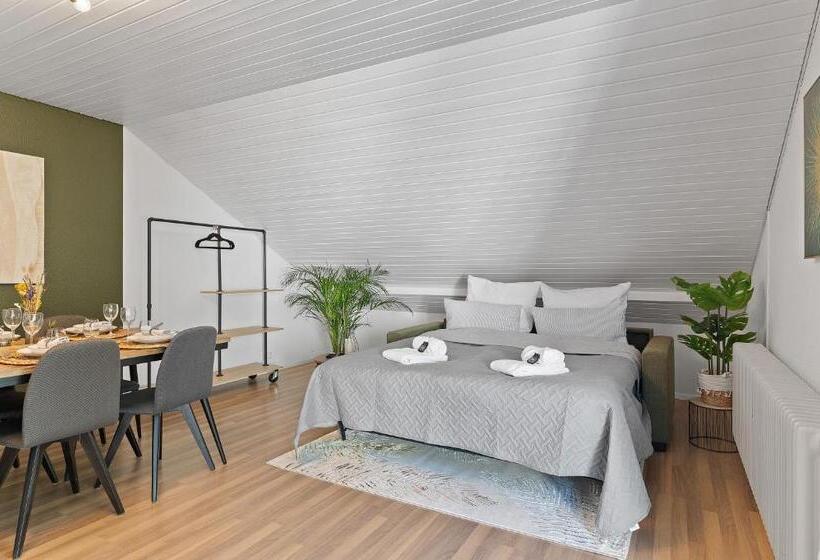 شقة ديلوكس غرفة واحدة, Lumiflats: Mahlberg