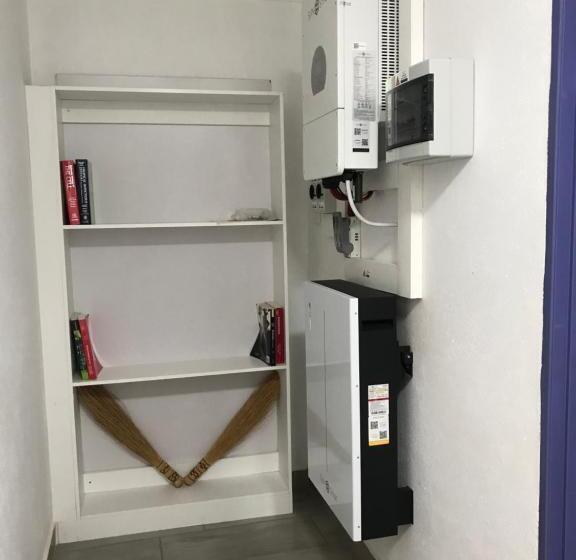 스탠다드 룸, The Affectionate One