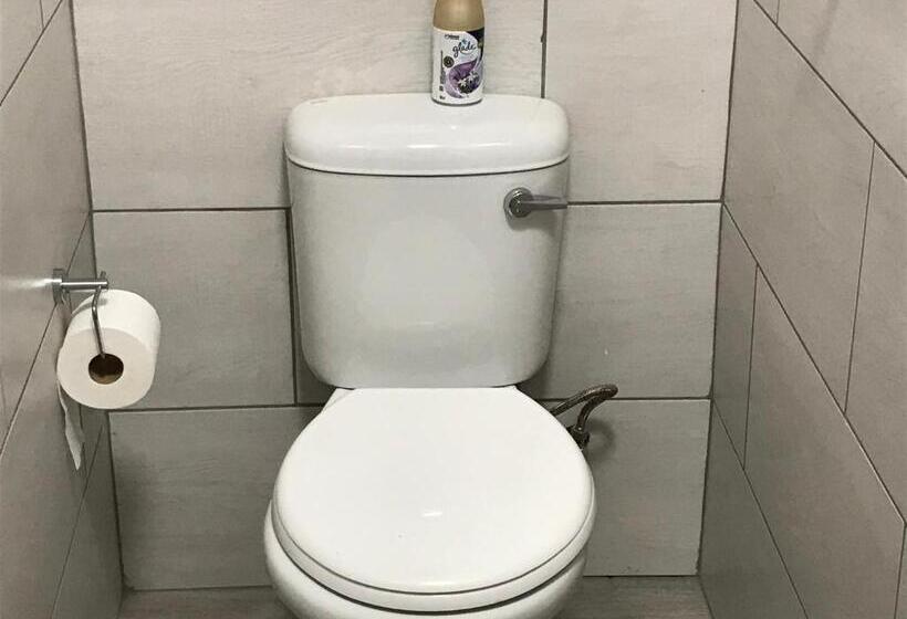 Номер Стандарт, The Affectionate One