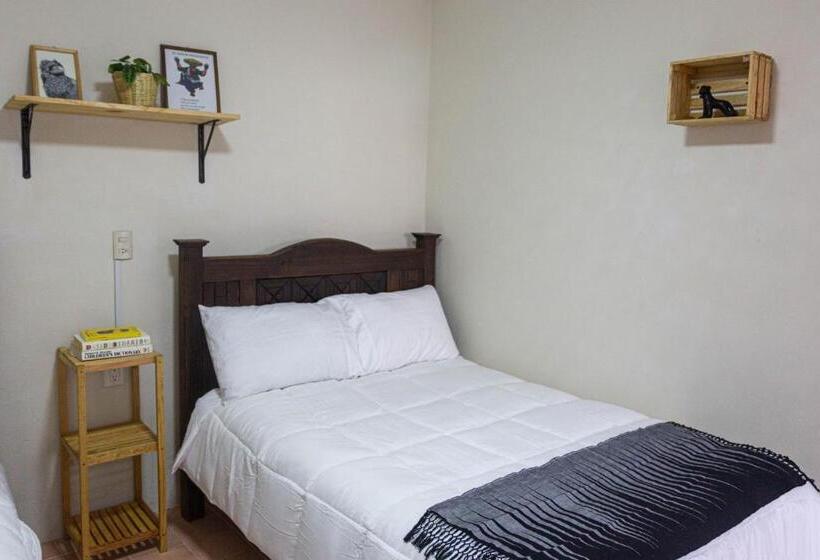 Номер Стандарт, Casa Venus