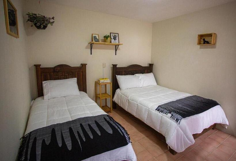 Номер Стандарт, Casa Venus