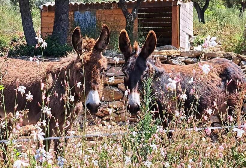 带大床的标准间, Mas Des Rochers Case Bambou