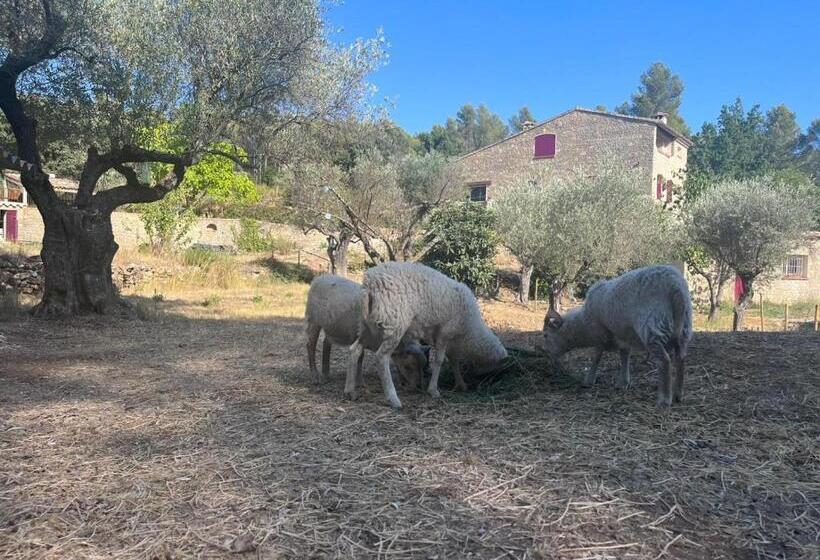 带大床的标准间, Mas Des Rochers Case Bambou