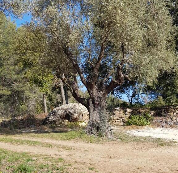 带大床的标准间, Mas Des Rochers Case Bambou