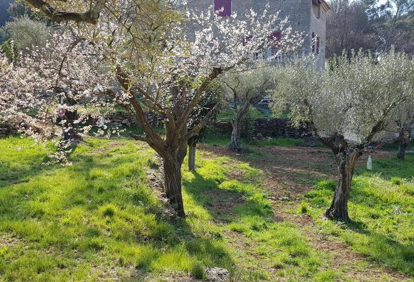 带大床的标准间, Mas Des Rochers Case Bambou