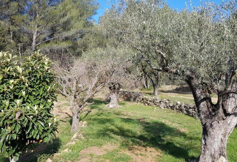 带大床的标准间, Mas Des Rochers Case Bambou