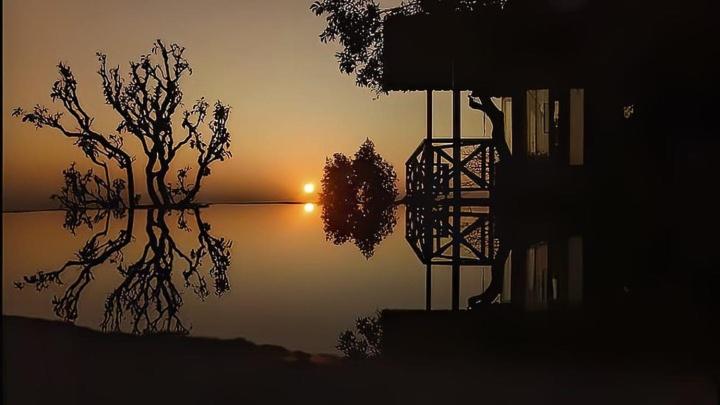 חדר סטנדרט נוף לבריכה, The Bohemian Casa Dehradun