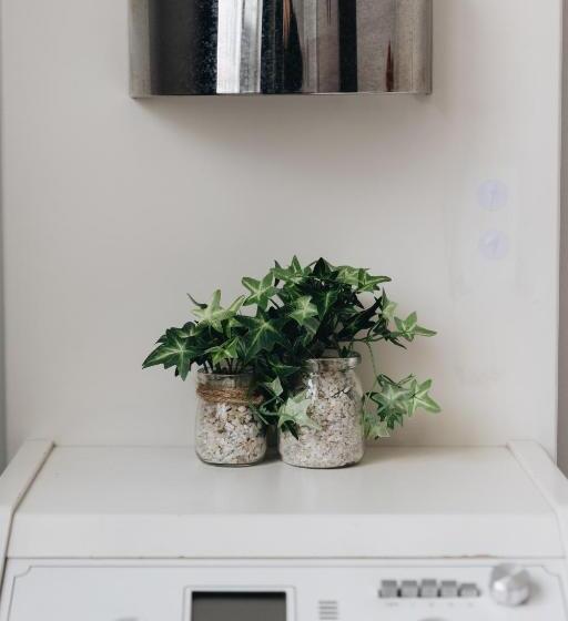 غرفة قياسية, Justice Ski In Ski Out