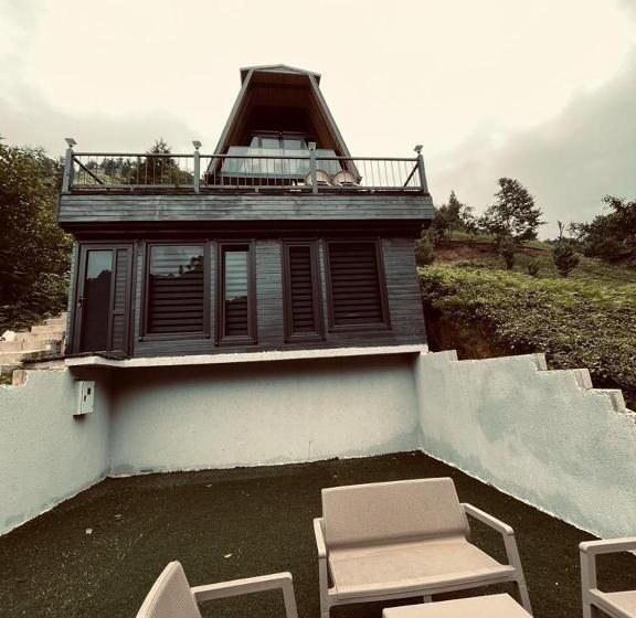 デラックスバンガロー, çınar Suit Bungalov