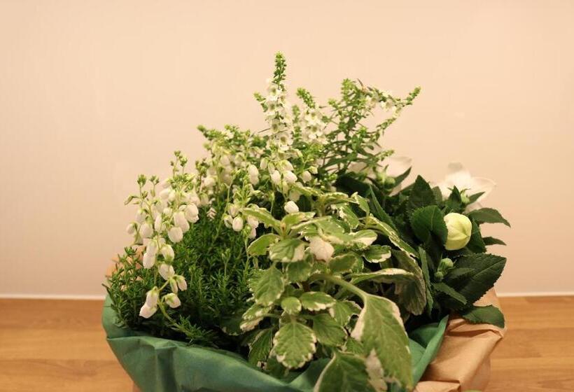 شقة سوبريور غرفة واحدة, Altstadtjuwel