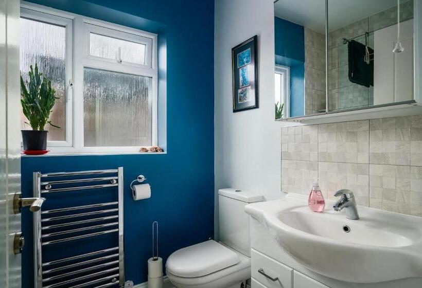 Camera Standard, No.18