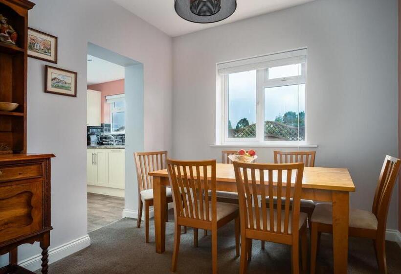 Camera Standard, No.18