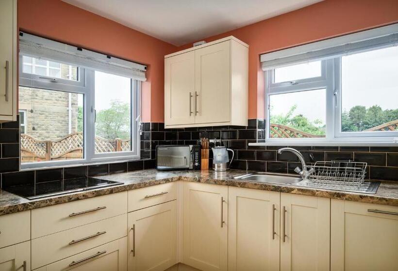 Camera Standard, No.18