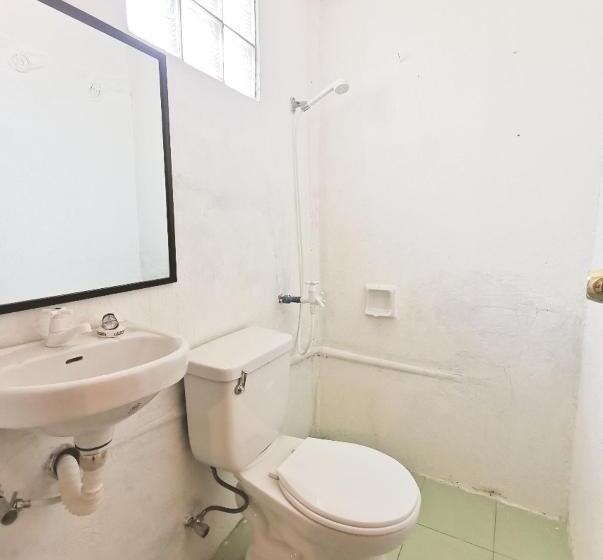 اتاق خانوادگی, Seaside Hostel Malapascua