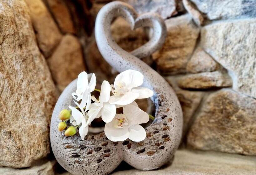 חדר משפחתי דלוקס, Kocourkov