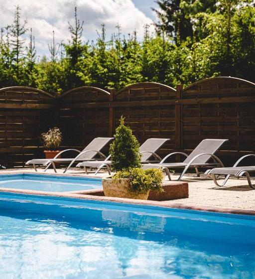 חדר דלוקס, Kocourkov