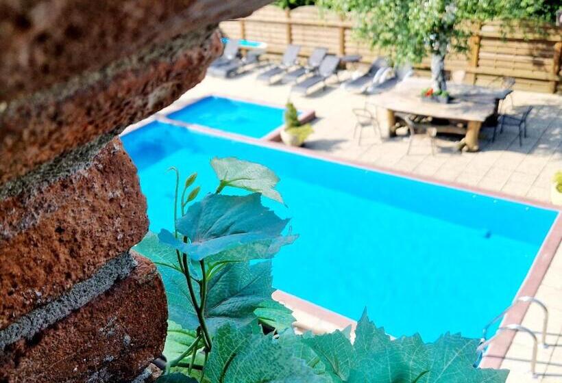 חדר דלוקס לארבעה, Kocourkov