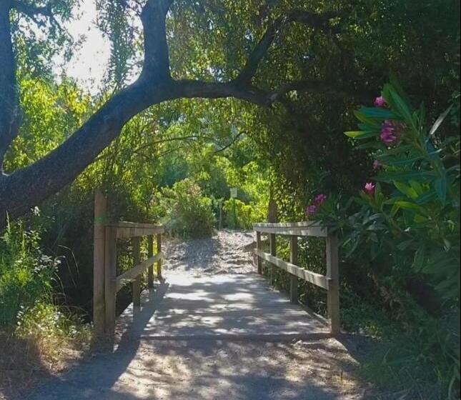 スタンダードルーム, La Buhardilla De Torrecillas