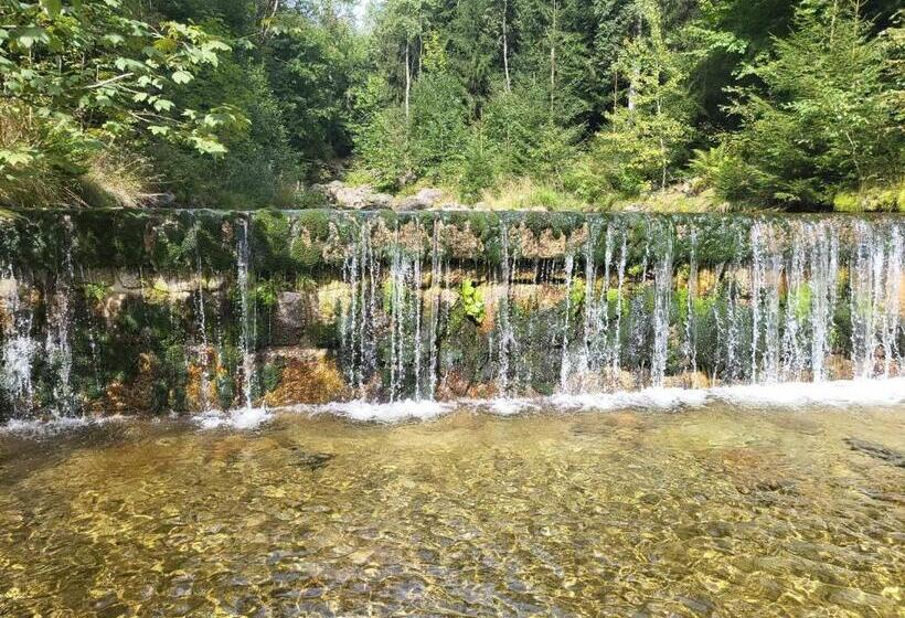 １ベッドルームアパートメント, Apartmán Pod Mariánskou Horou