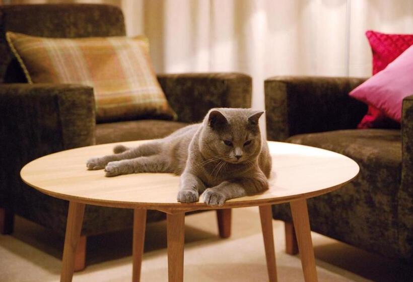 Family Suite, Pension Alpenfluh