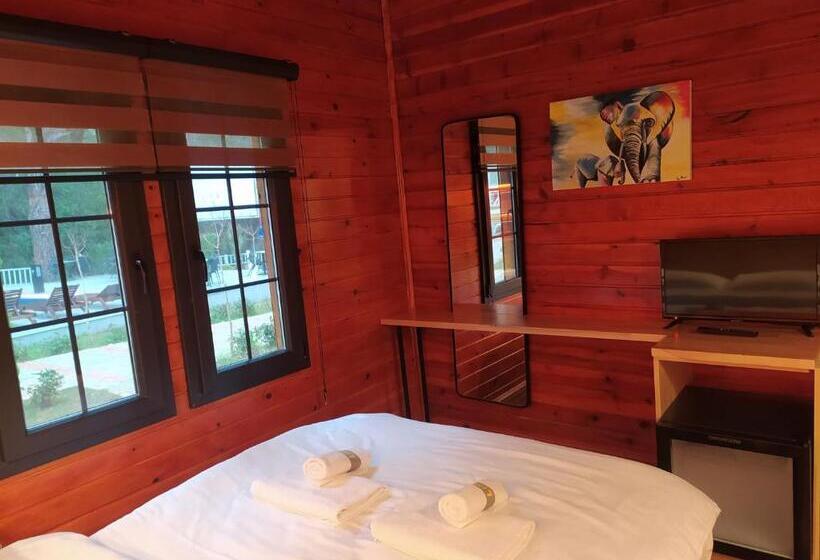 اتاق استاندارد, Babylontown Otel