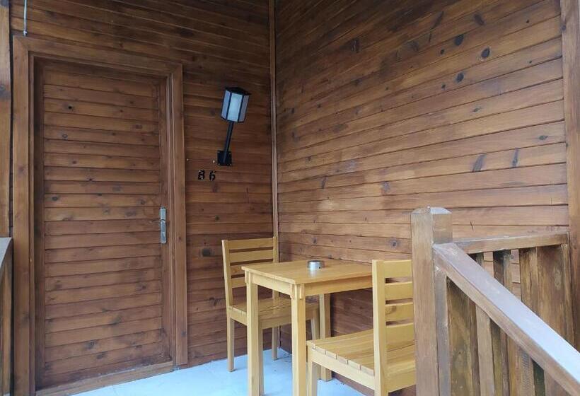 اتاق استاندارد, Babylontown Otel