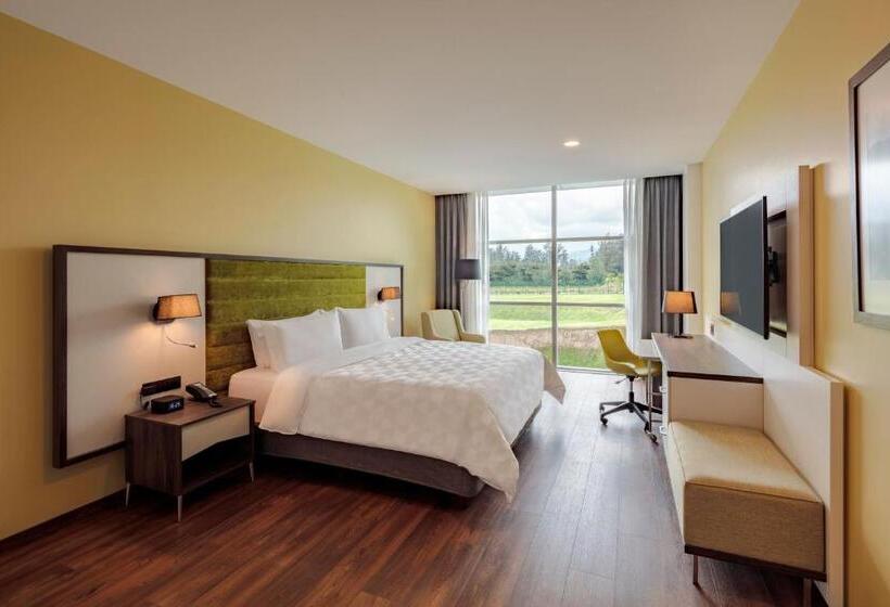 Стандартный Номер Кровать Кинг, Holiday Inn  Quito Airport, An Ihg