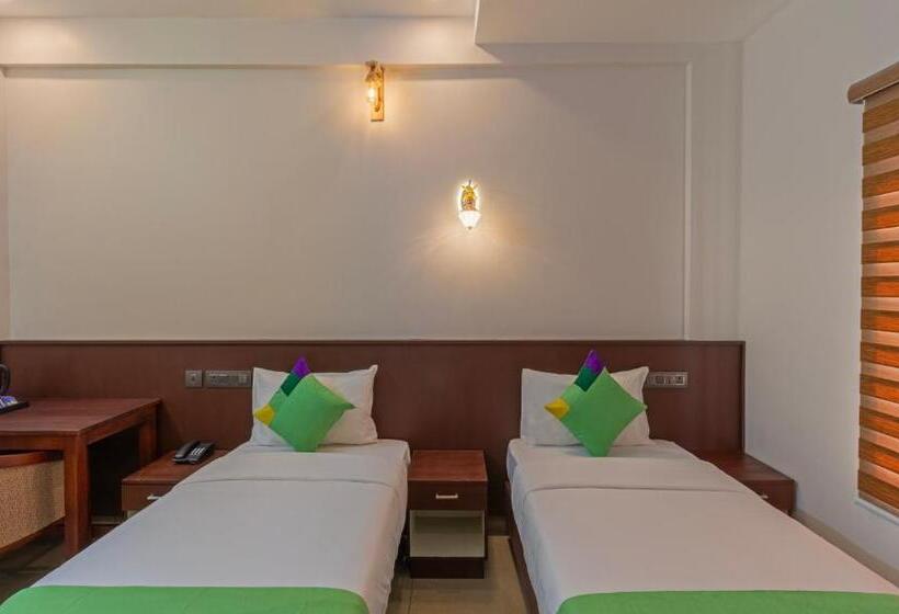 스탠다드 룸, Treebo Amigos Residency