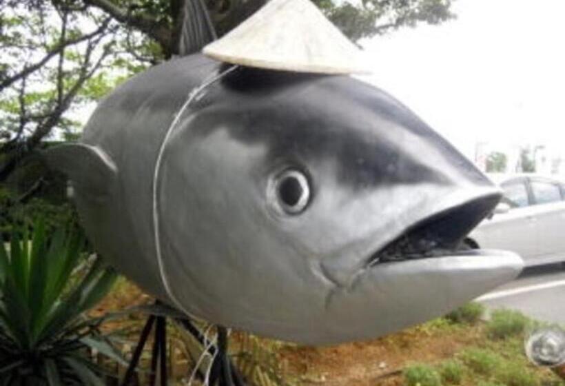 Студия Стандарт, Nahari