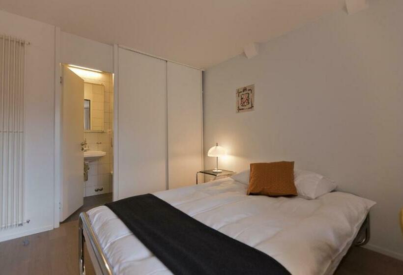 اتاق کلاسیک یک تخته, Baseltor Hotel & Restaurant