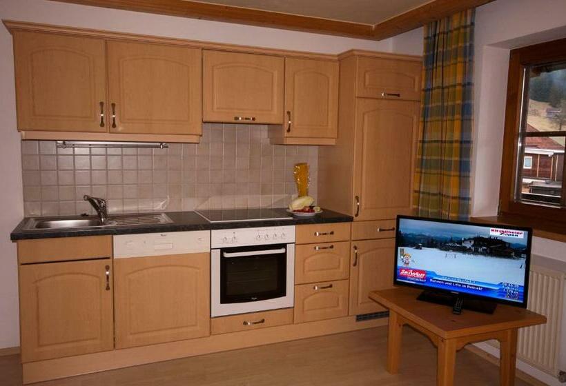 شقة غرفة نوم واحدة مزودة بشُرفة, Activ Wellness   Appartement Schermerhof