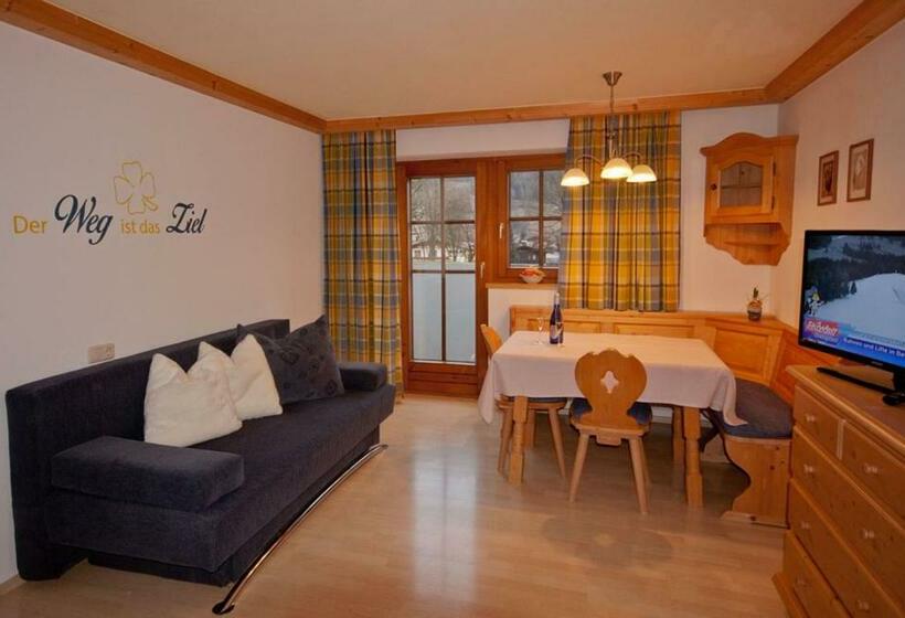 شقة غرفة واحدة مزودة بتراس, Activ Wellness   Appartement Schermerhof