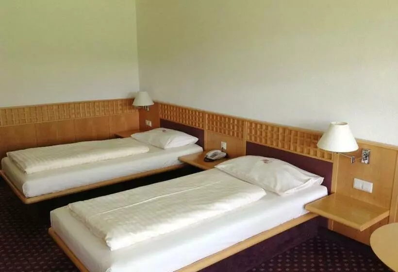 スタンダードシングルルーム, Rosenberger Motel Völkermarkt