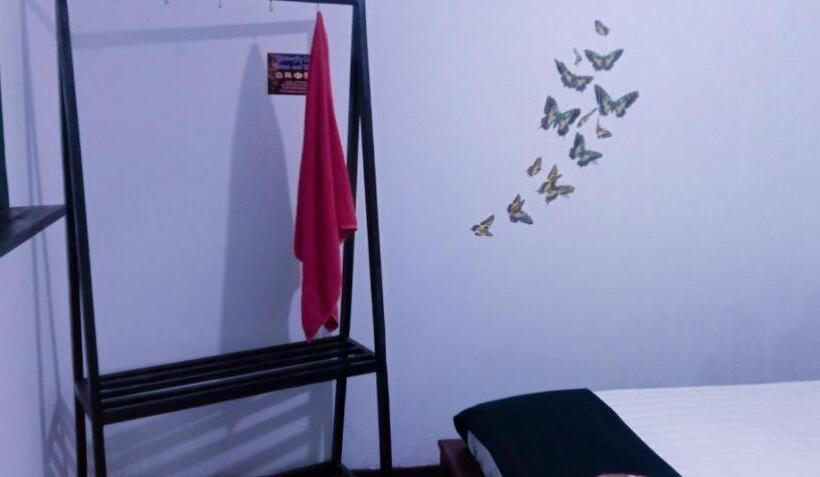 スタンダードルーム, Butterfly Guest Home And Rooms