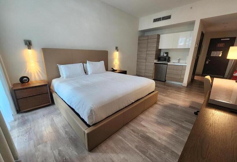 استودیوی استاندارد, Costa Hollywood Beach Studios