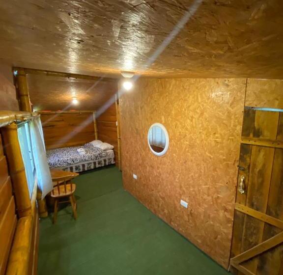 اتاق استاندارد سه نفره, Cayena Beach