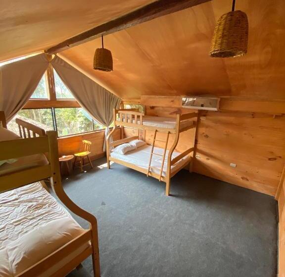 تختخواب در اتاق مشترک, Cayena Beach