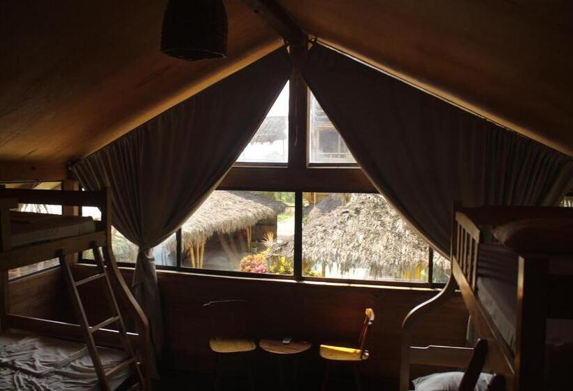 تختخواب در اتاق مشترک, Cayena Beach