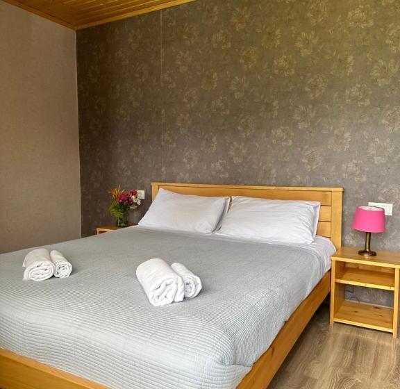 اتاق استاندارد با تخت بزرگ, Bala S House