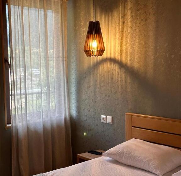 اتاق خانوادگی, Bala S House