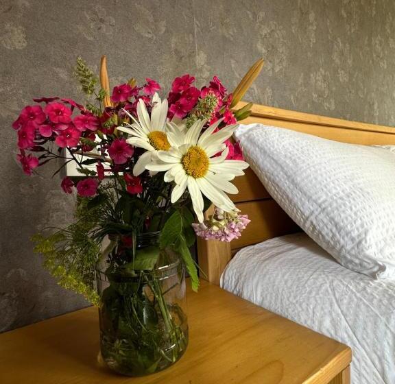 اتاق استاندارد با تخت بزرگ, Bala S House