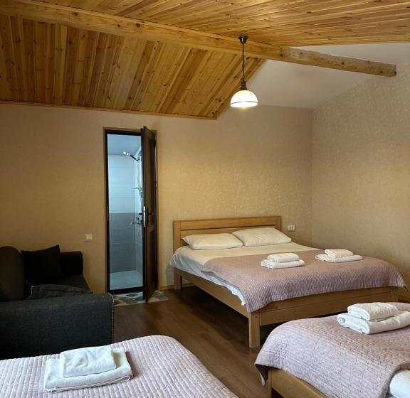 اتاق خانوادگی با چشم‌انداز کوه, Bala S House