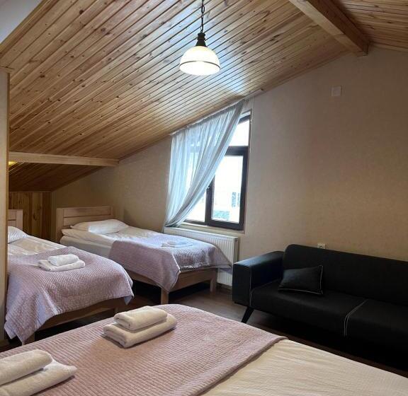 اتاق خانوادگی با چشم‌انداز کوه, Bala S House