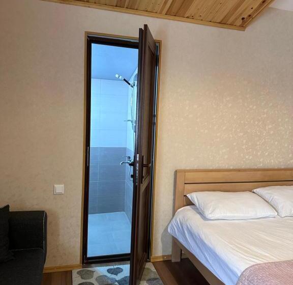 اتاق خانوادگی با چشم‌انداز کوه, Bala S House